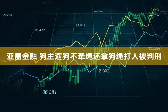 亚晶金融 狗主遛狗不牵绳还拿狗绳打人被判刑