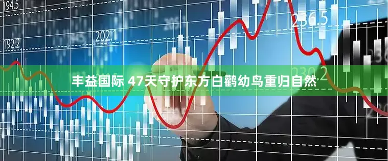 丰益国际 47天守护东方白鹳幼鸟重归自然