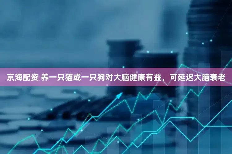 京海配资 养一只猫或一只狗对大脑健康有益，可延迟大脑衰老